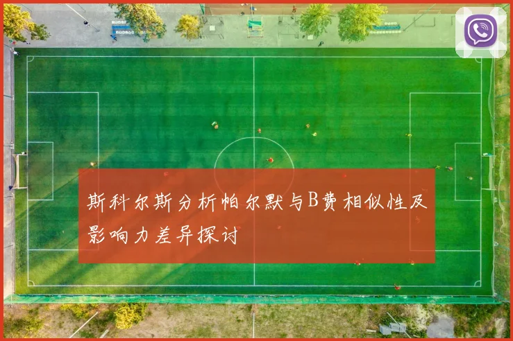 斯科尔斯分析帕尔默与B费相似性及影响力差异探讨