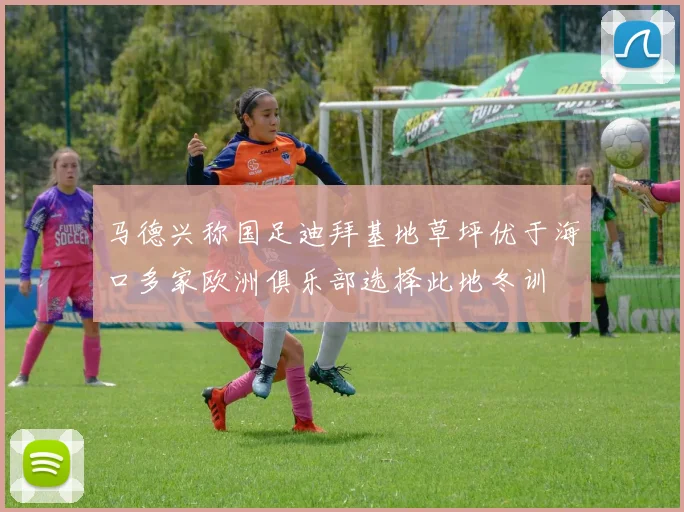 马德兴称国足迪拜基地草坪优于海口多家欧洲俱乐部选择此地冬训