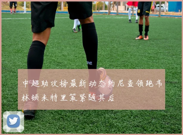 中超助攻榜最新动态约尼查领跑韦林顿米特里策紧随其后